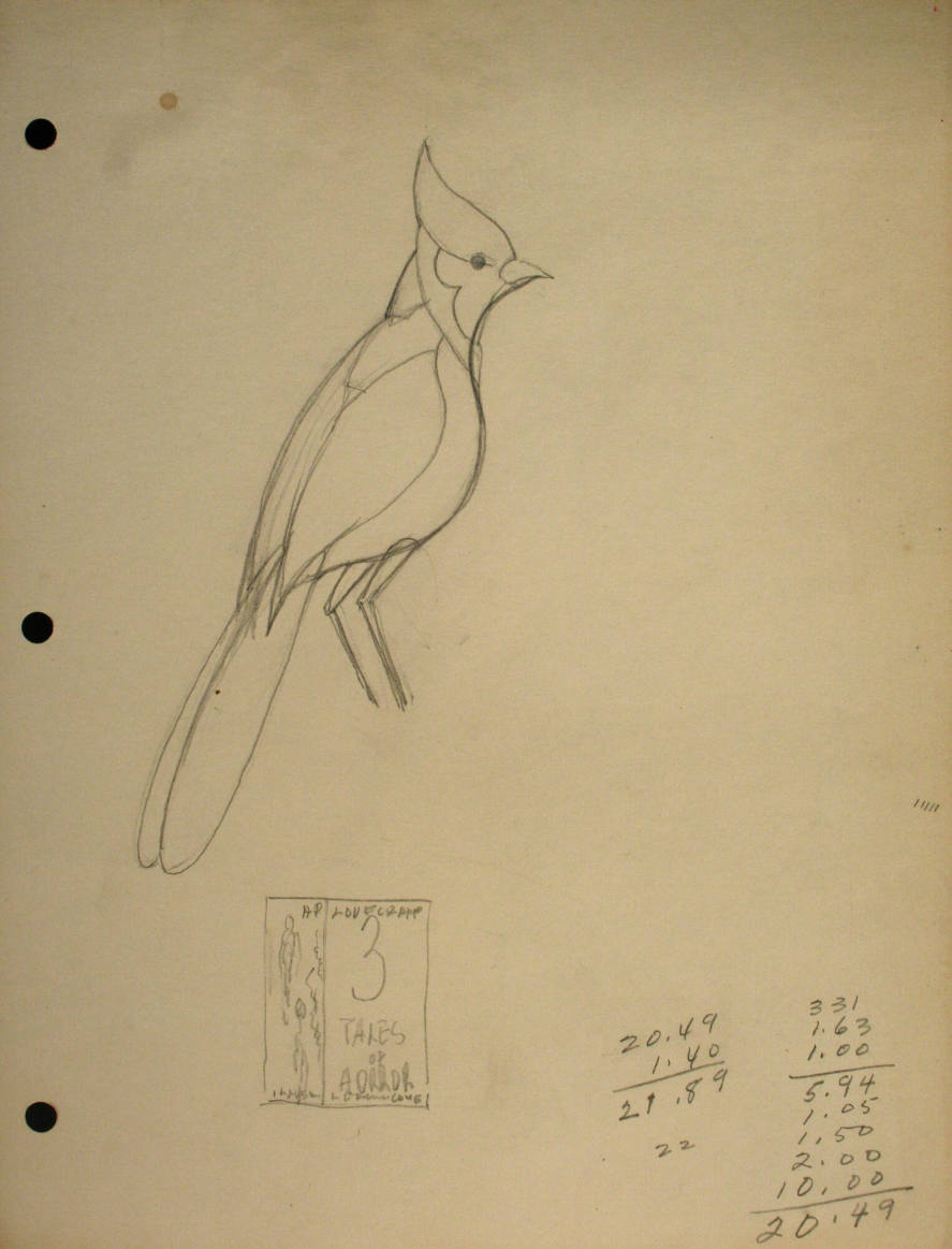 Bird (Cardinal) and book cover