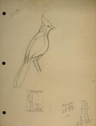 Bird (Cardinal) and book cover