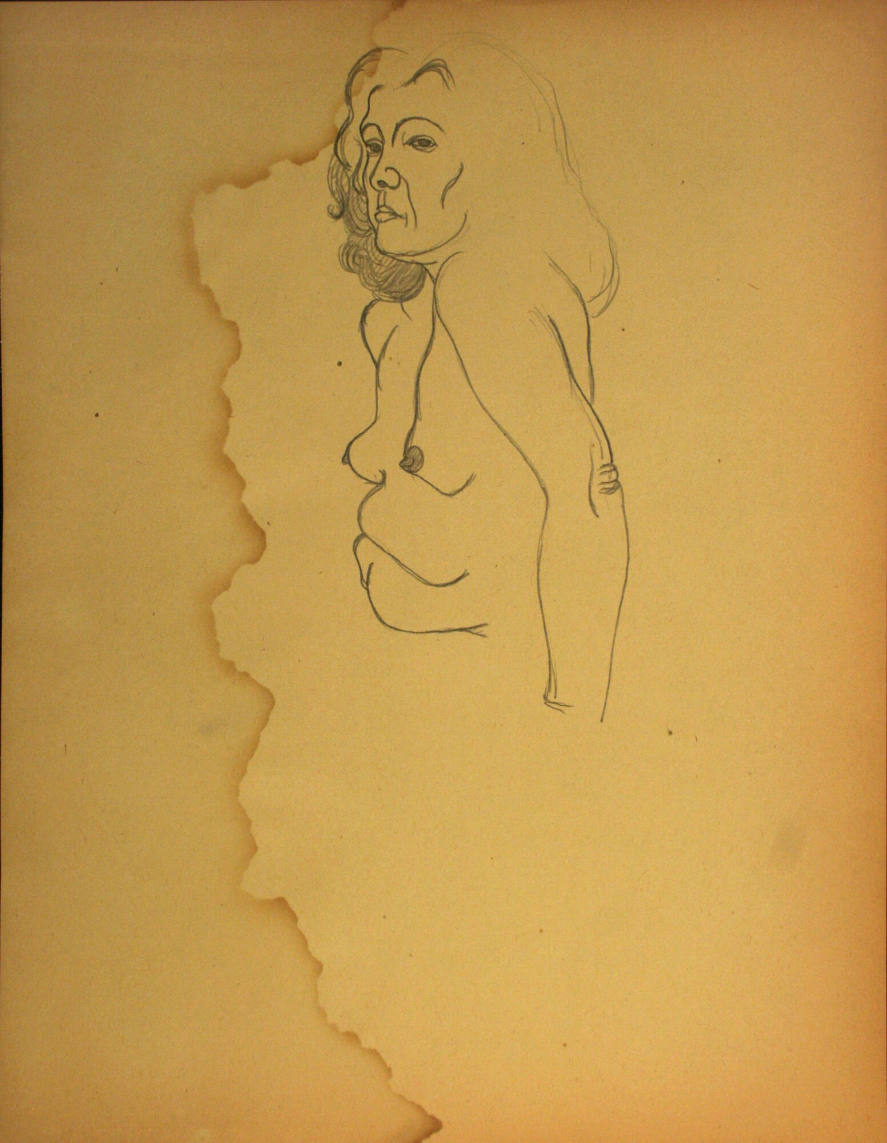 Nude woman's torso