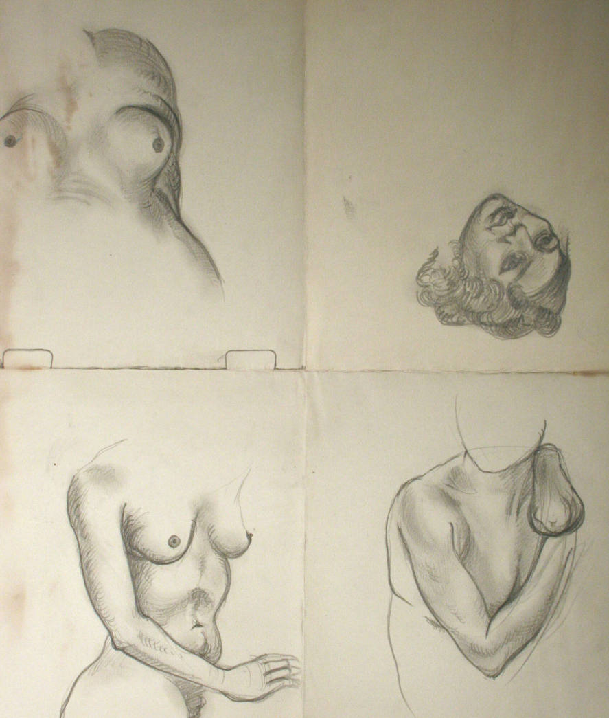 4 figures - breasts, nude woman from waist up, head and upper body