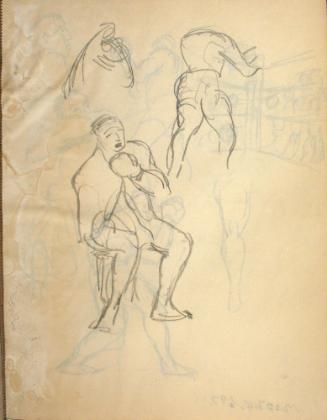 Boxer seated, fighting