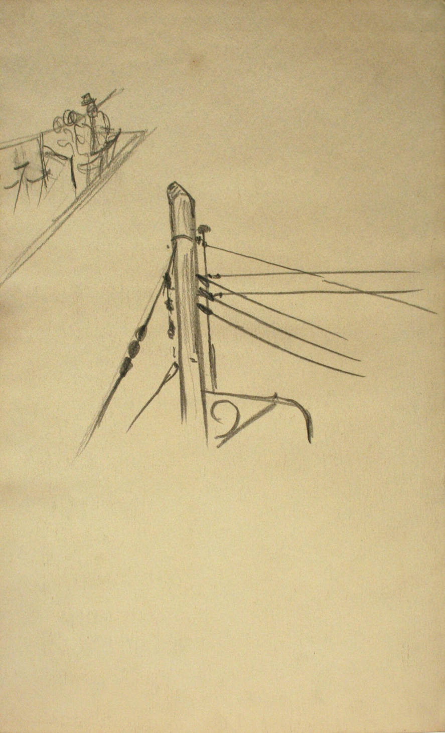 Top of telephone pole