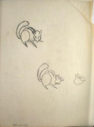 2 squirrels, 1 squirrel head