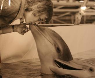 Two Dolphins And Boy