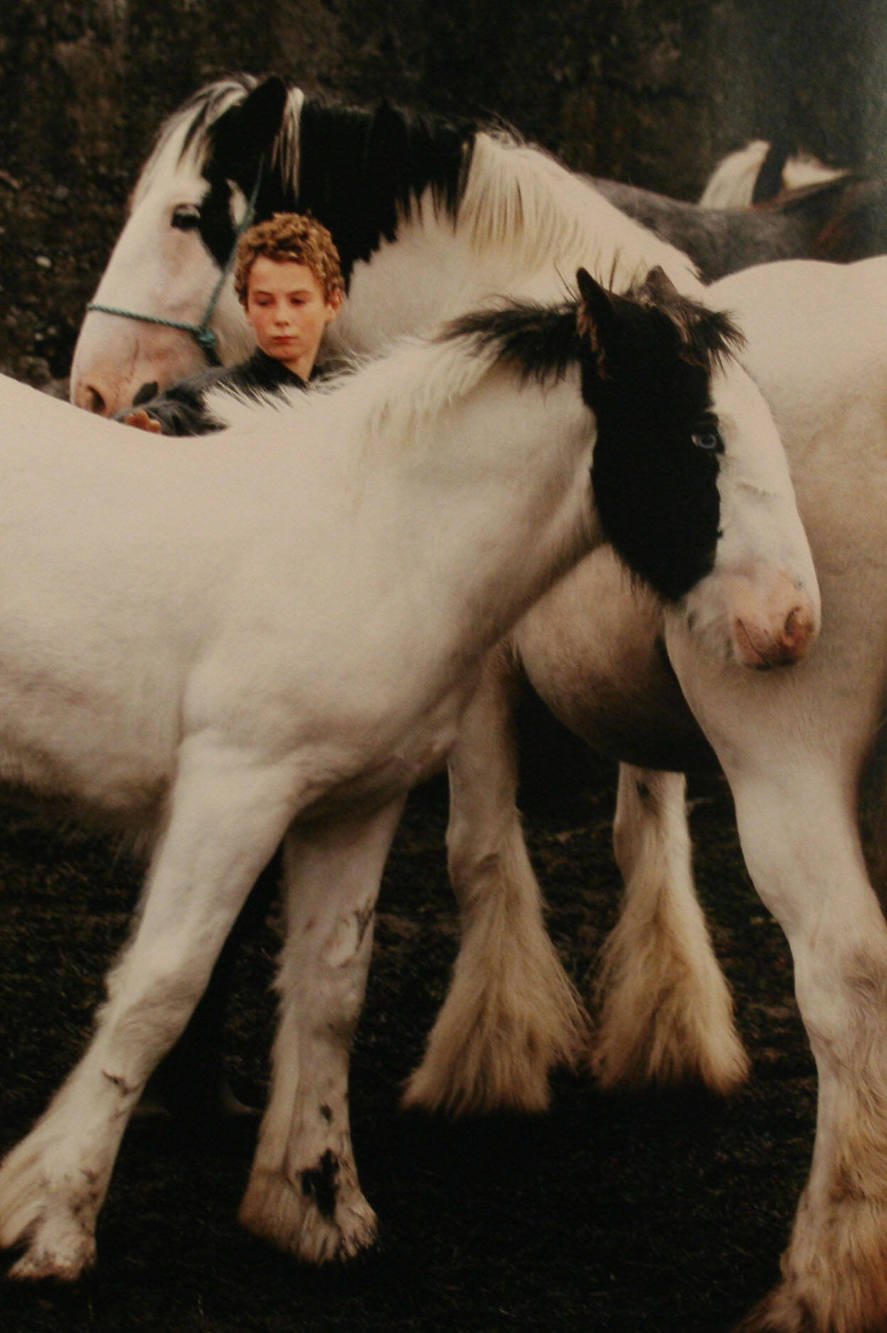 Boy with Piebalds, Ballinasloe Horsefair, Galway