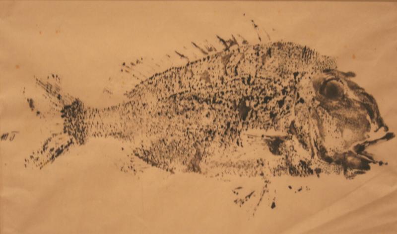 Fish – Works – University Museums - Colgate University