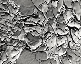 Untitled (Mud Cracks)