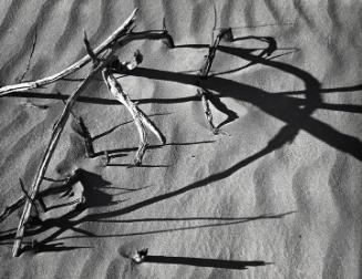 Untitled (Sand and Branches, White Sands)