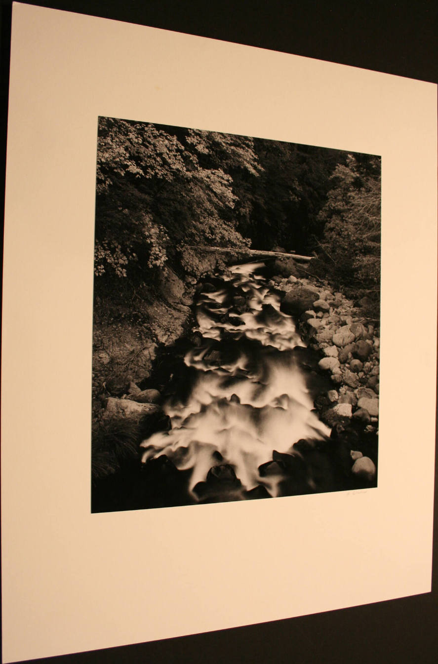 Falls (Felled Log and Stream) Monterey, California