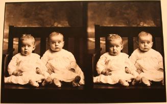 F.S. Tuttle Twins