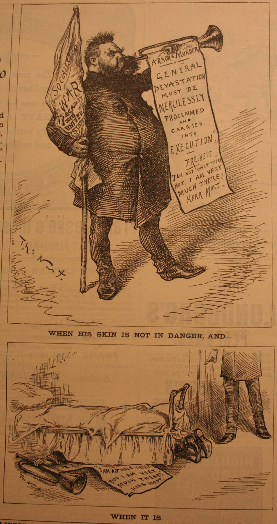 "When His Skin Is Not In Danger" from Harper's Weekly, May 22, 1886