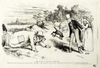 "The Wolf In Sheep's Clothing" from Harper's Weekly, September 14, 1872