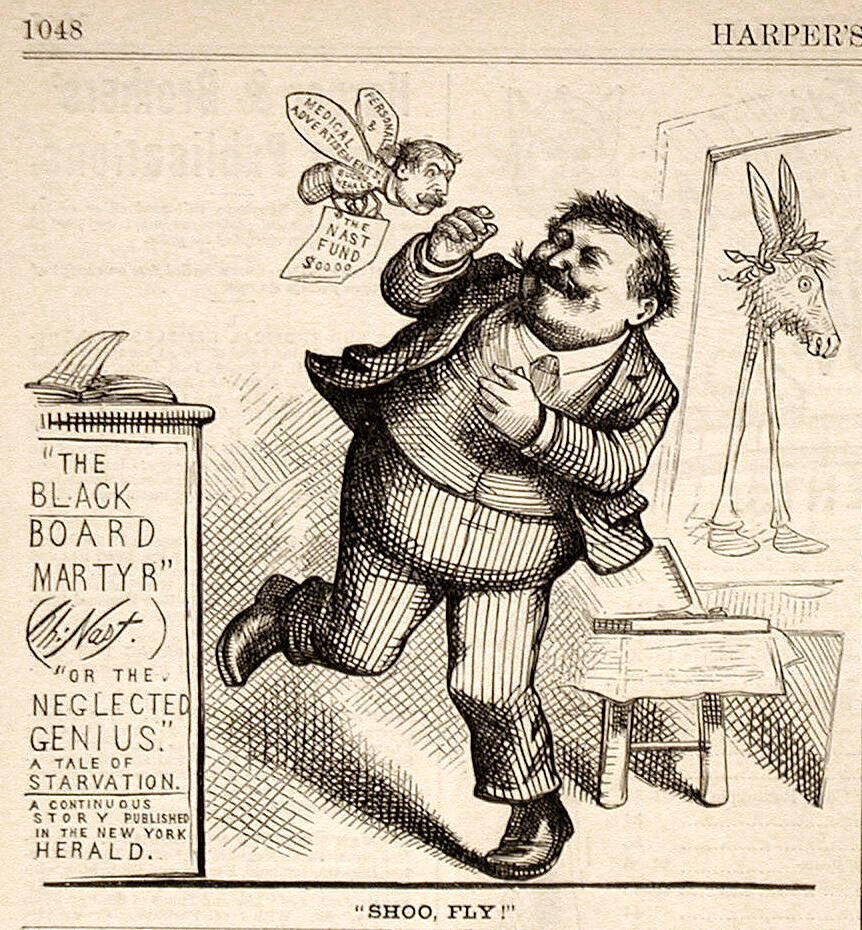 "Shoo, Fly" from Harper's Weekly, November 22, 1873