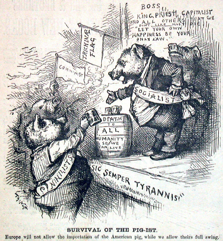 "Survival of the Pig-ist" from Harper's Weekly, April 2, 1881