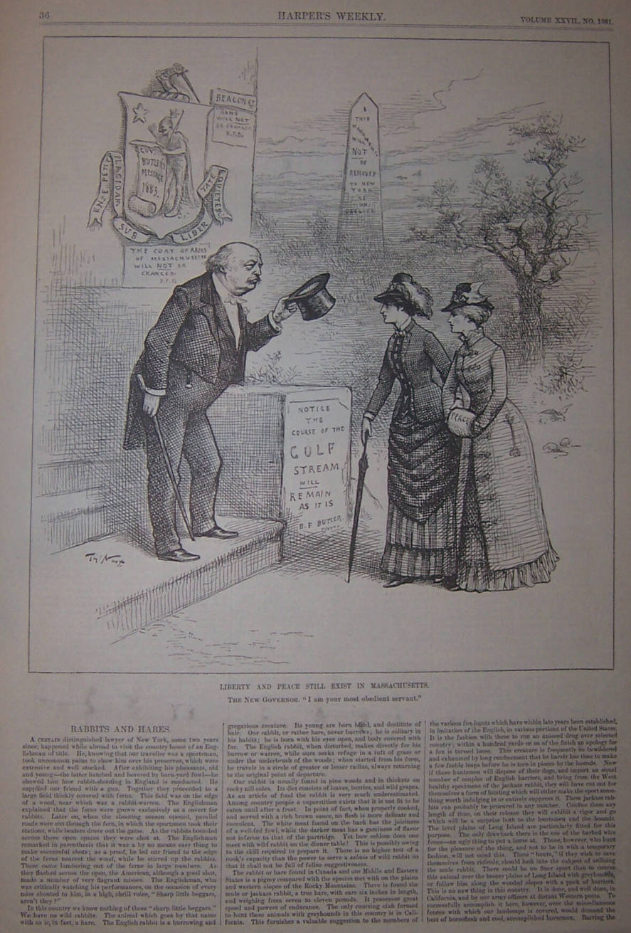 "Liberty And Peace Still Exist" from Harper's Weekly, January 20, 1883