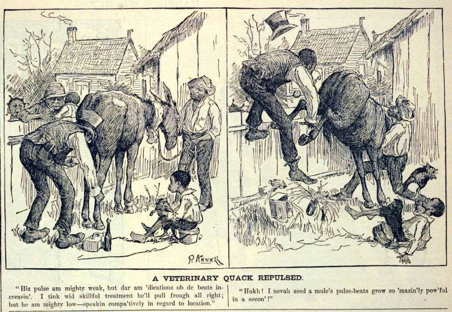 "A Veterinary Quack Repulsed" from Harper's Weekly, August 8, 1885