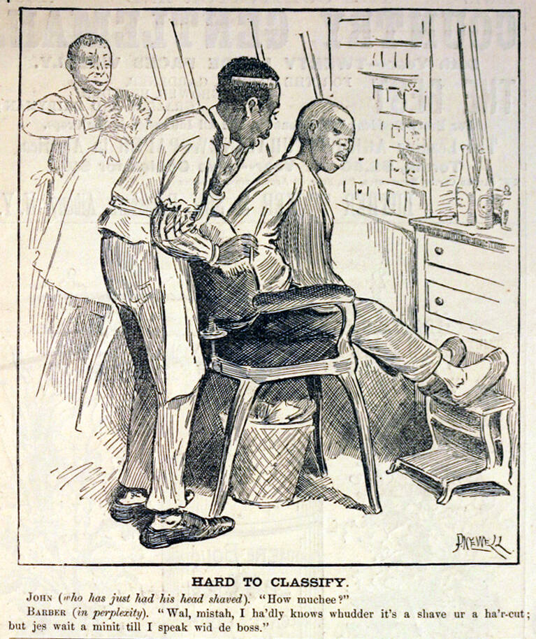 "Hard to Classify" from Harper's Weekly, January 2, 1886