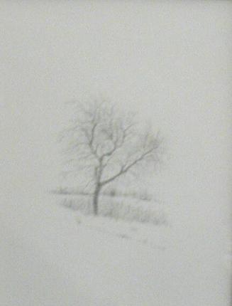 Tree in Winter