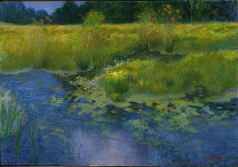 South Jersey Marshes