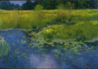 South Jersey Marshes