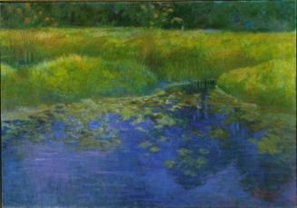 South Jersey Marshes