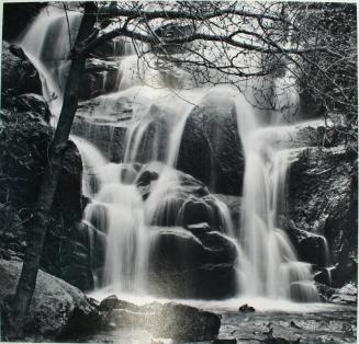 Wild Cat Falls , Yosemite