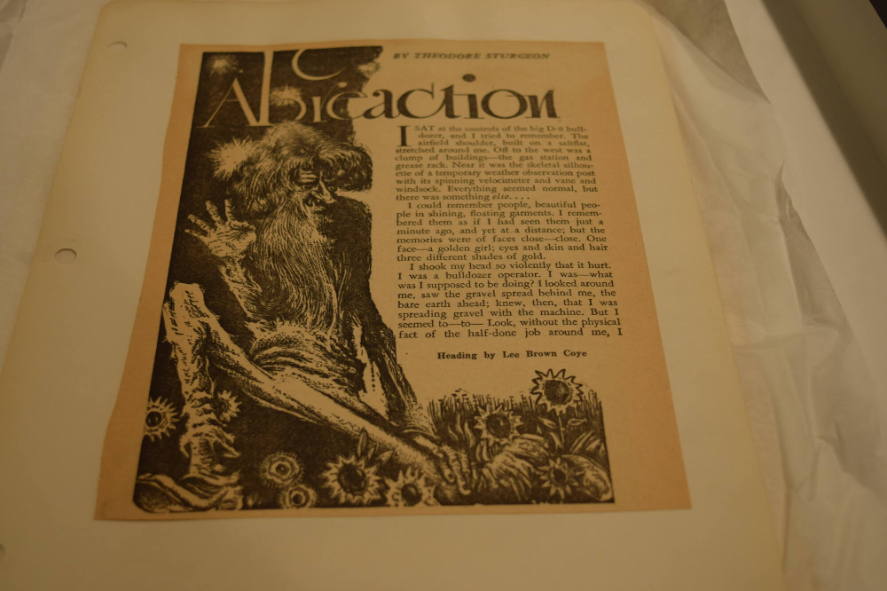 Longbearded man with sunflowers and start of a story entitled "Abieaction"