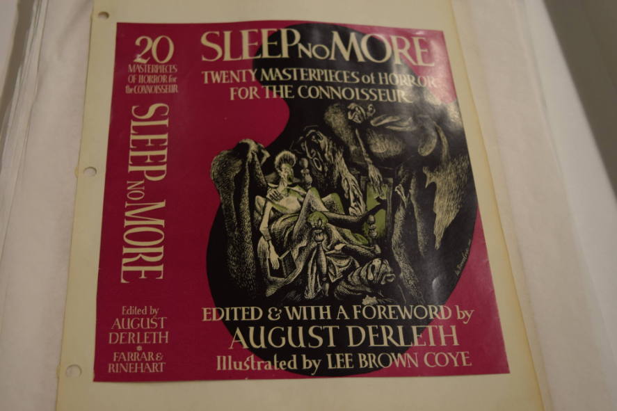 Bookcover for "Sleep No More" with man waking up in bed and glancing around