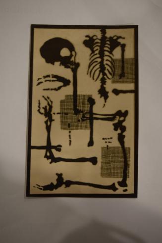 Bones, skull, ribcage, etc