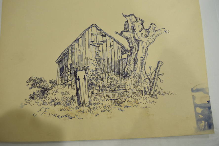 Barn and gnarled tree