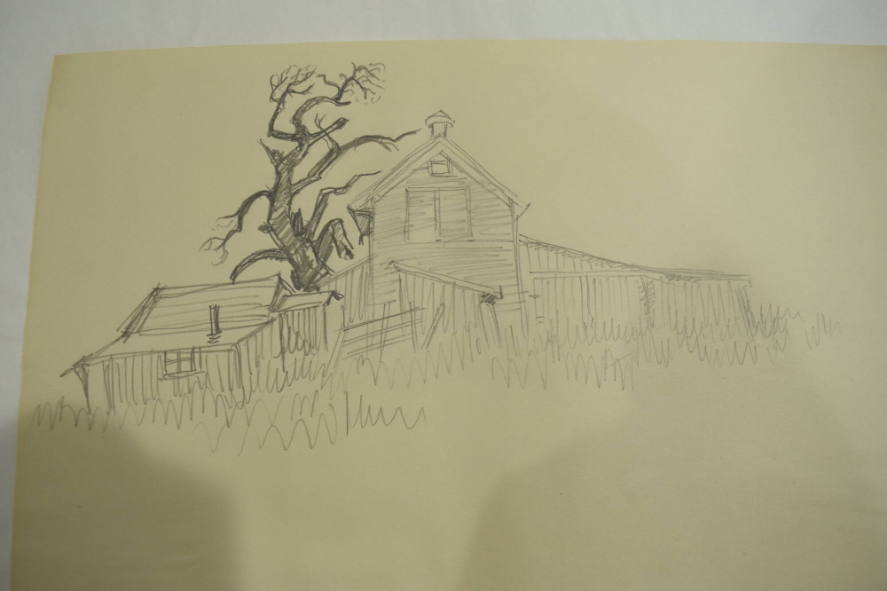 House, shed and tree