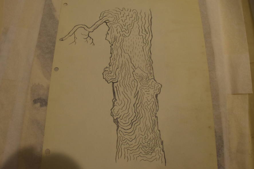 Tree trunk