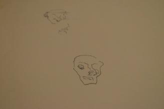 Rough Sketches of 3 Things (Including a Head)