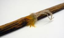 Detail view, feather