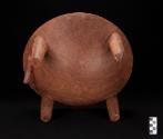 Bottom view