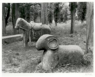 The Kong Forest, Confucius's Family Cemetary, Qufu, Shandong