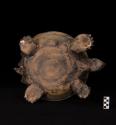 Bottom view