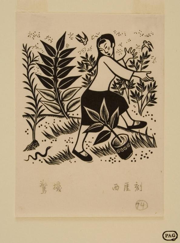 小宇宙鑑』（『阿蘭陀経絡筋脈臓腑図解』/『和蘭全躯内外分合図