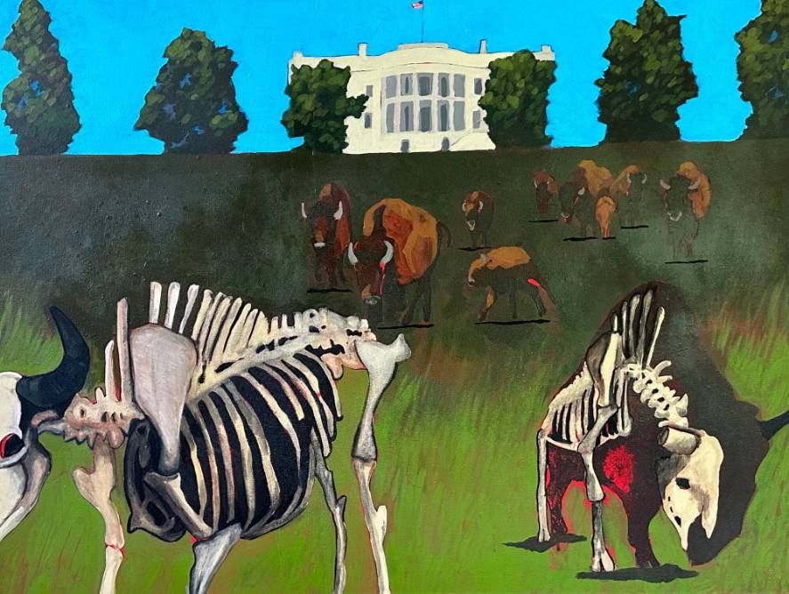 University Museums Joint Collections