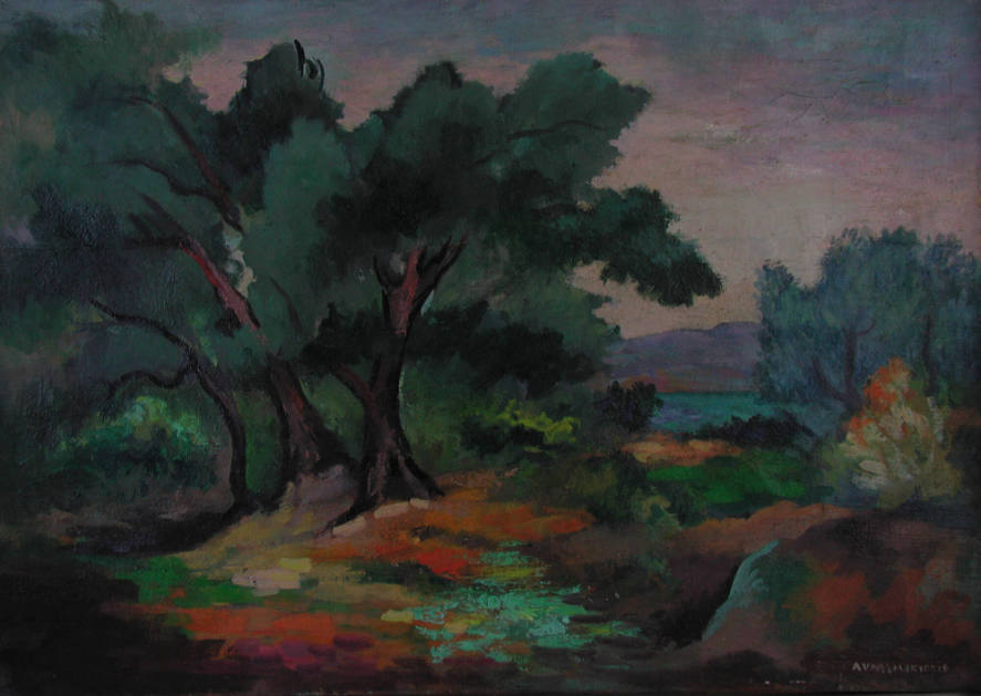 Olive Grove