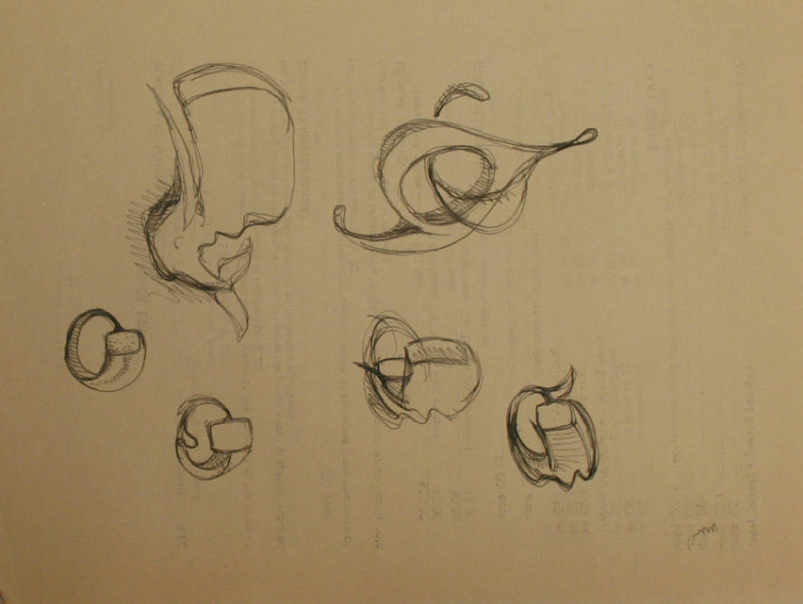 Whale, Rings and Other Shapes