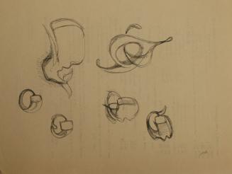 Whale, Rings and Other Shapes