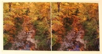 Gorge Buttermilk Falls, Ithaca, NY