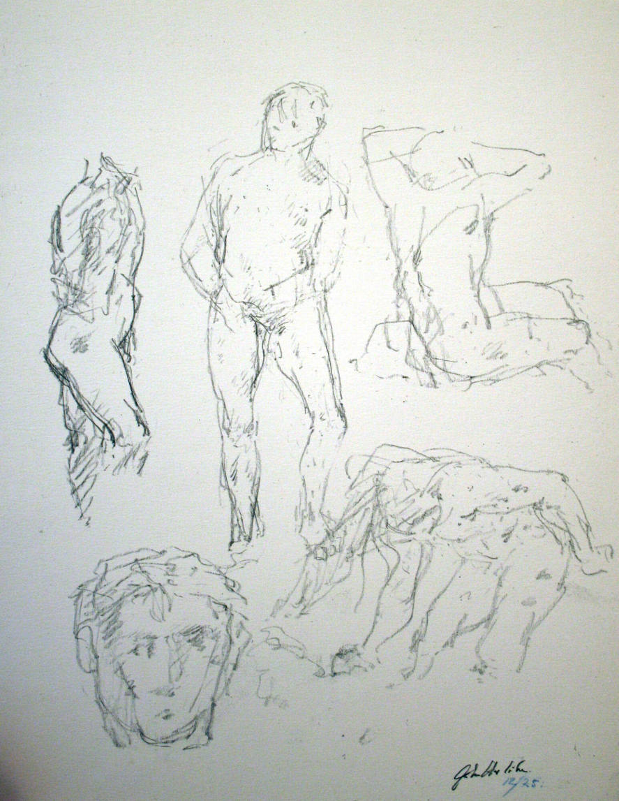 Anatomy Study