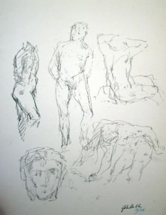 Anatomy Study