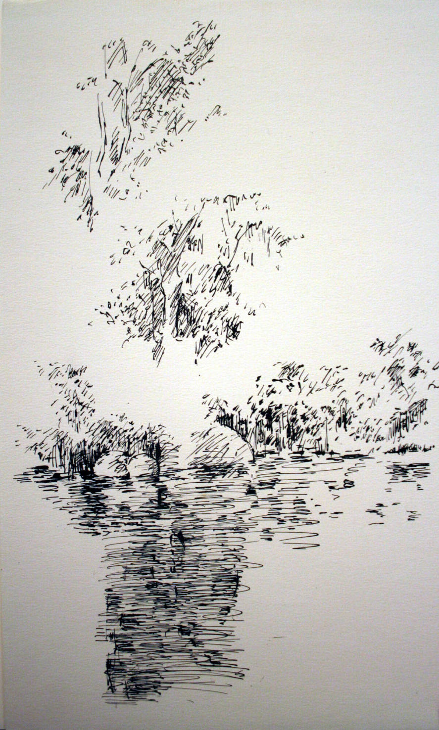 Trees Over Pond