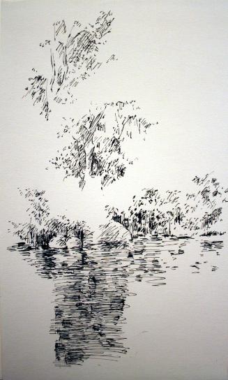 Trees Over Pond