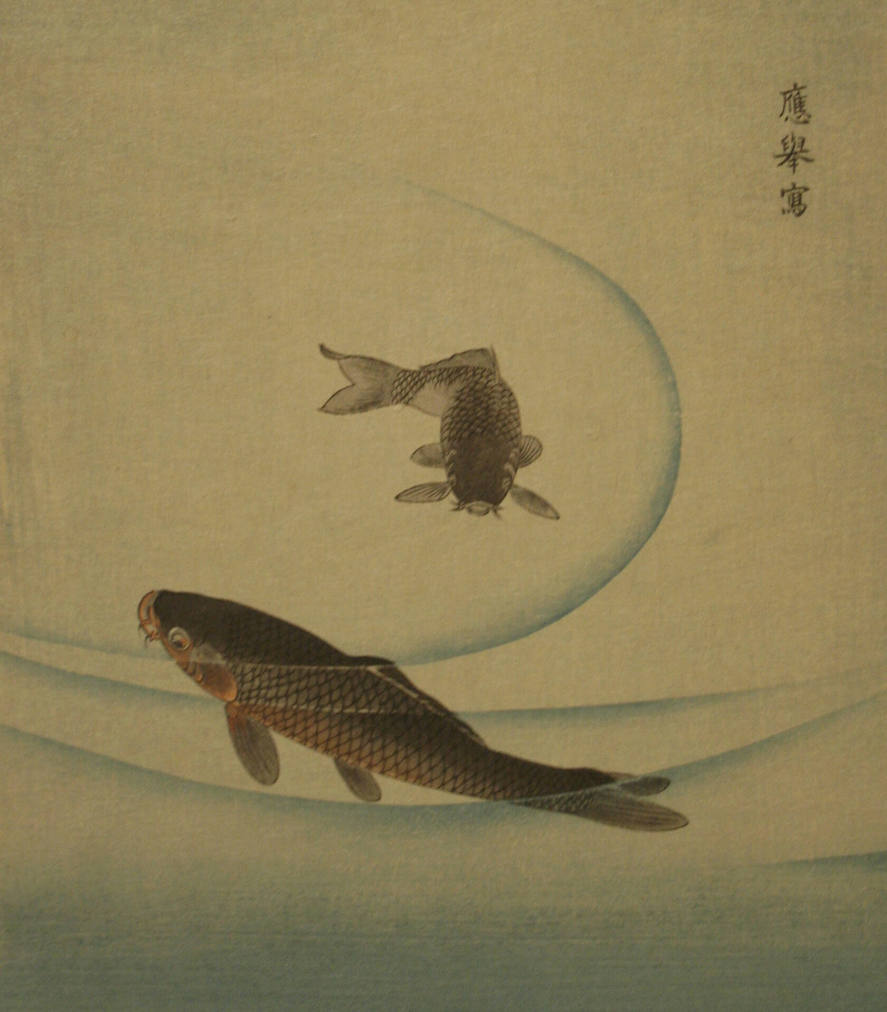 Two Carp