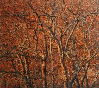 Oak Forest at Sunset, WVA