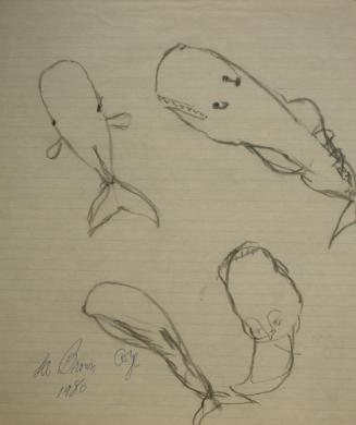 four sea creatures